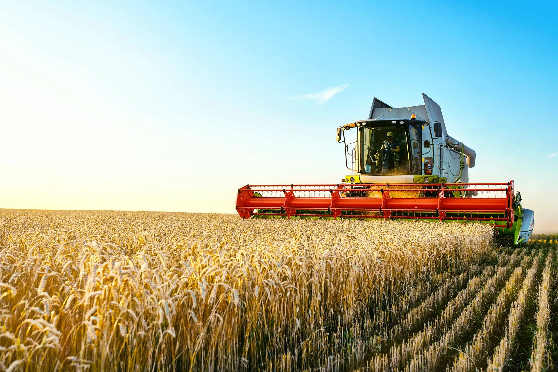 Agriculture financing for Texas operators — Trust Alliance Capital