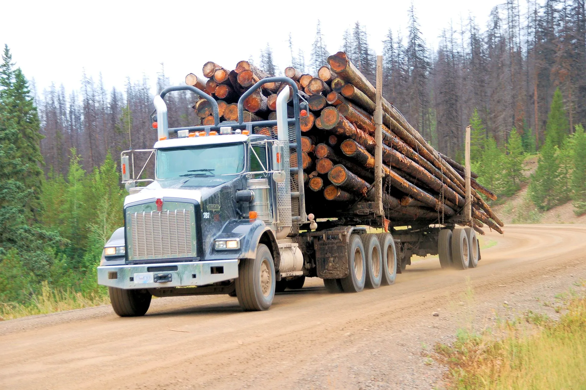 Logging financing for Washington operators — Trust Alliance Capital